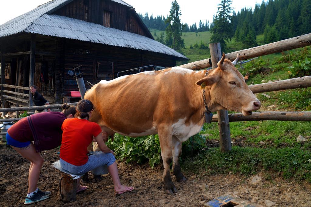 Usadba Okhotnichiy Dvor Konuk evi Yabluniv Dış mekan fotoğraf