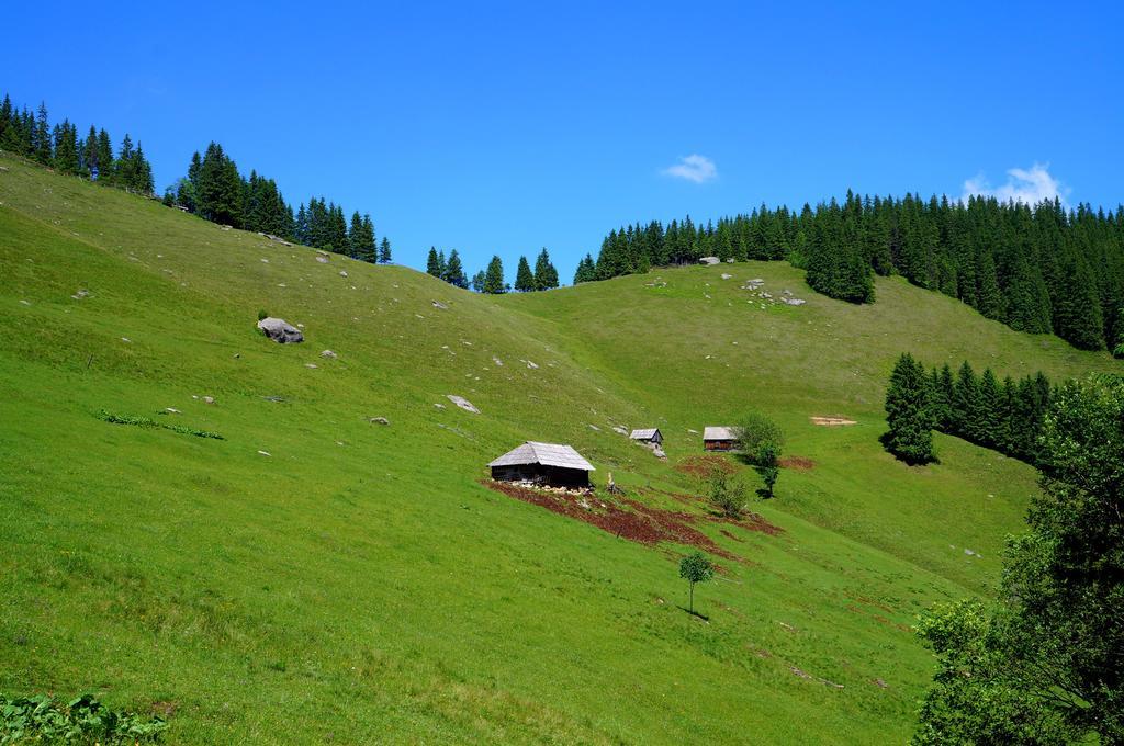 Usadba Okhotnichiy Dvor Konuk evi Yabluniv Dış mekan fotoğraf